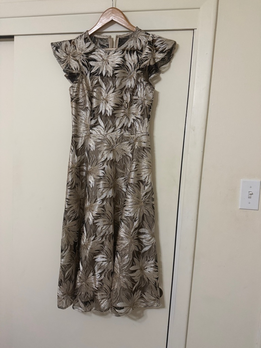 Antonio Melani Embroidered Sequins Shimmering Mesh Ella Dress size 2
